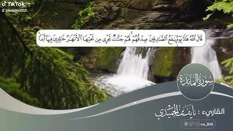 تلاوة خاشعة القارئ نايف الحميدي