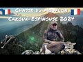 Chasse du mouflon  caroux espinouse 2024