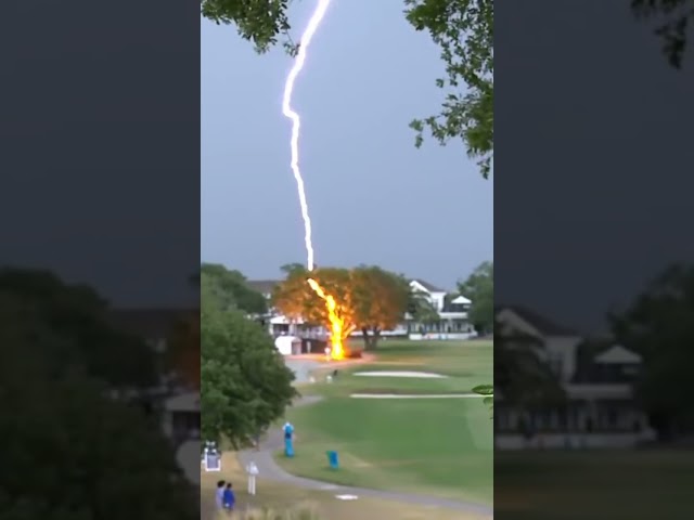 A lightning strike for the ages at the 2019 U.S. Women's Open ⚡️⚡️ #Shorts class=