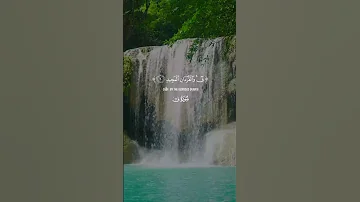 خشوع يملأ القلب من خاتمة الحجرات لبداية سورة ق المنشاوي المنشاوي الباكي 