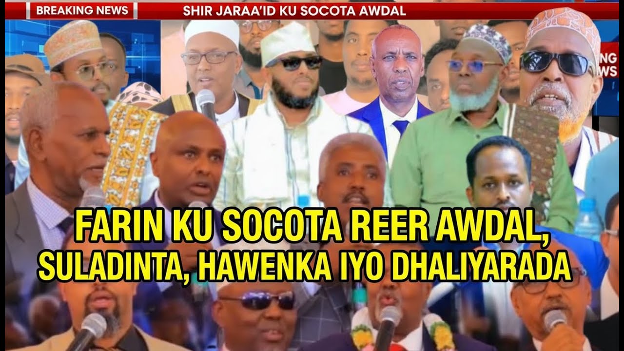 DHAMAAN BEESHA GADABUURSI QURBO & QOLQOL JOOGBA WAA IN DEGAAN LAGU NOQDO ZAYLAC - SULDAAN CABDIQADIR