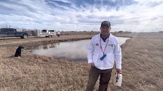 Swim By  Retriever Training Video with Wade Cashion