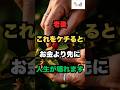 老後//これをケチると//お金より先に//人生が壊れます//#老後#シニアライフ#健康習慣#人生の知恵#節約術#心に響く#大切なこと