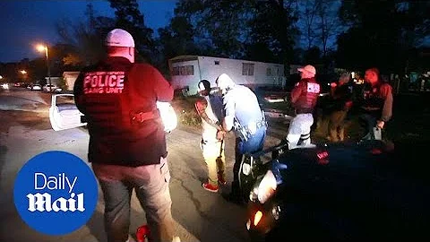 ICE arrests hundreds of suspected transnational gang members - Daily Mail