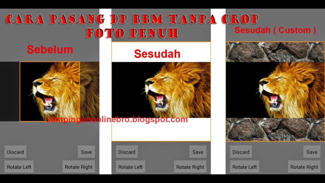 Cara Pasang DP BBM Tanpa Crop Foto Penuh Full YouTube