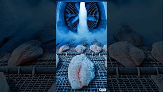 🐟 Fresh Fish to Frozen Packet in Minutes! Inside a Real Fish Processing Factory #shortsfeed #shorts