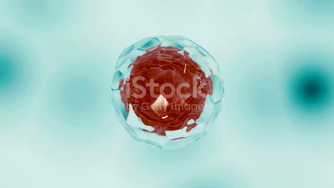 Unlocking Longevity Extending Human Life