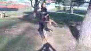 Kajzer Albania 9 Muaj