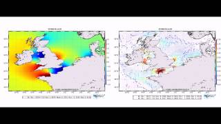 Celebrity Tide model FES2014 Net Worth