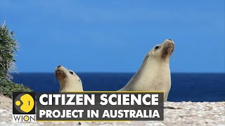 Australia starts Citizen Science Project in an effort to save sea lions | WION