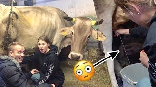 KÜHE MELKEN Challenge .. Bibi vs. Julian 😂 🐮