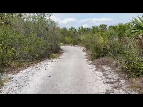 Oscar Scherer State Park Vlog Osprey - YouTube