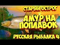 русская рыбалка 4 - Амур озеро Старый Острог - рр4 фарм Алексей Майоров russian fishing 4