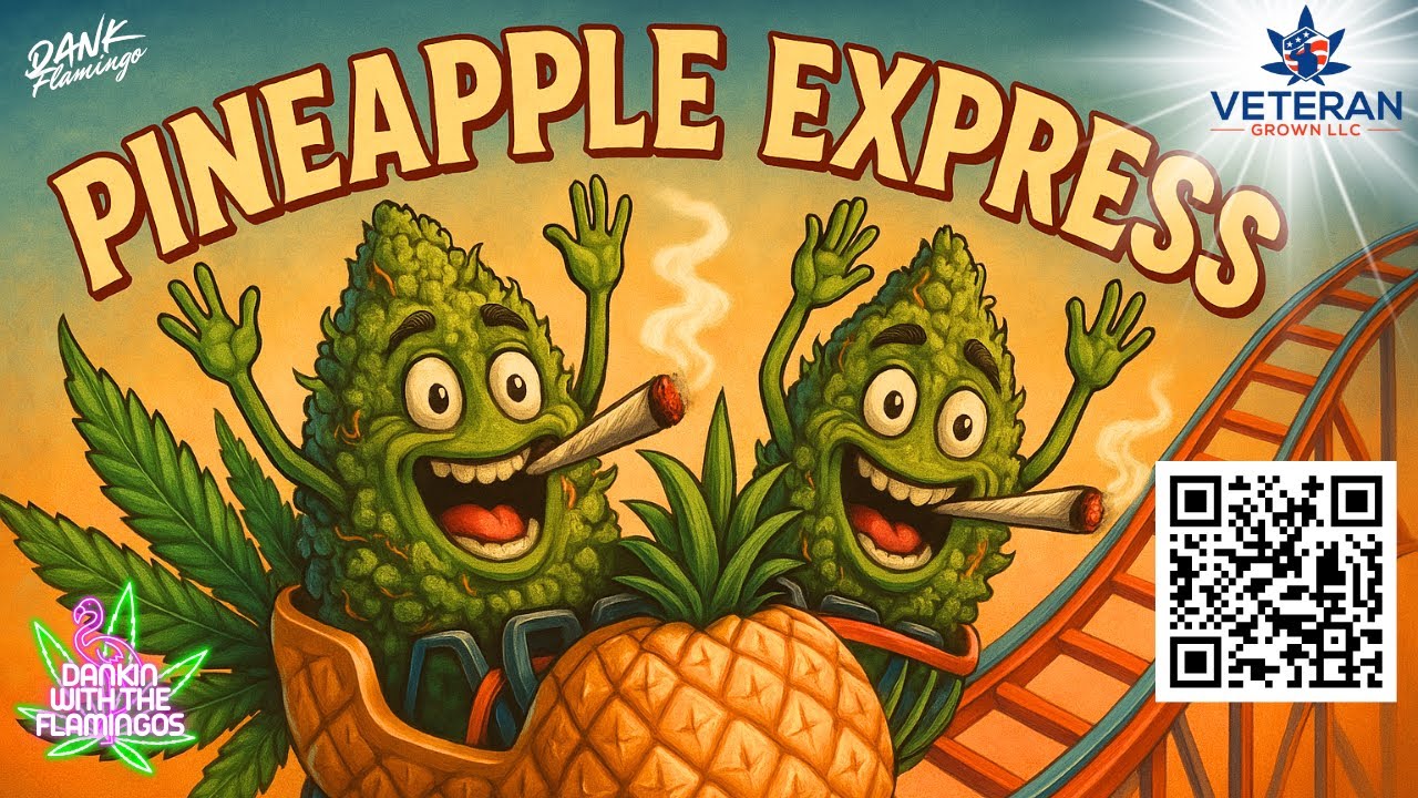 Riding the Pineapple Express from Veteran Grown Hemp! Dankin with the Flamingos!!