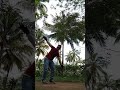 Nice farm #music #reggae #sound #instrumental #cute #dance #trackwork #musicmix #ad #dancer
