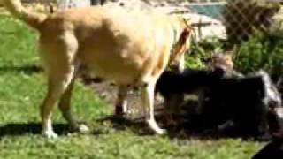 Zack Ziggy Sophie Jane