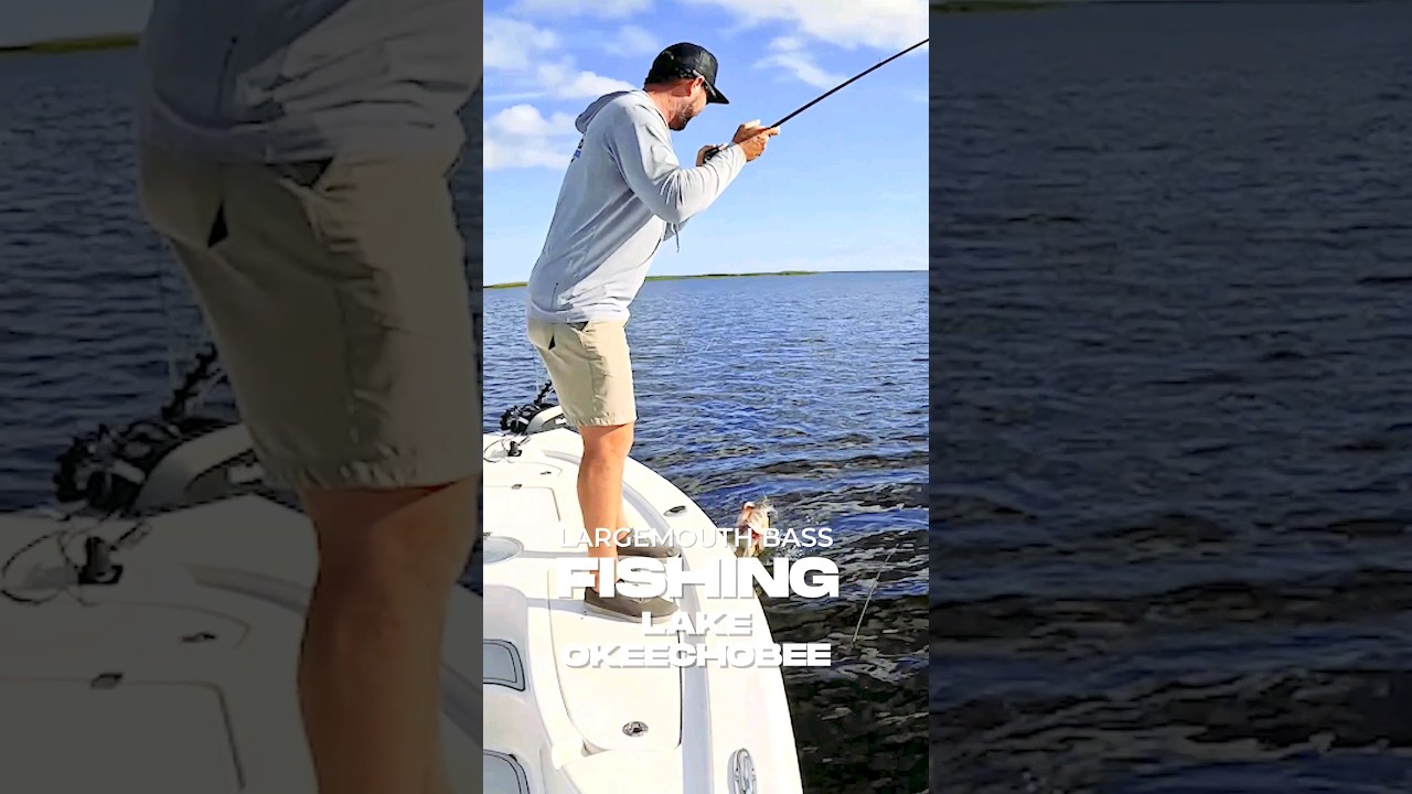 Lake Okeechobee Bass Fishing 8lb 13oz Largemouth First Time Winter Pre  Spawn Largemouth Bass 2023 