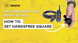 How to Set Up Handsfree Squares | Dogtra ARC HANDSFREE PLUS (Boost & Lock Edition)