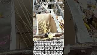 링크 메커니즘을 활용한 대나무 가공 공정의 모든 것 #worker #process #engineering #mechanism #bamboocraft