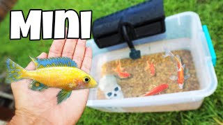 DIY Mini Bait Tank For My Future Baby Jaws Pet