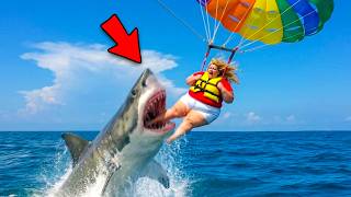 Great White Shark Drags Woman From Parasail in Brutal Mid Air Attack! Profile