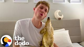 Download Lagu Dog Who Was Scared Of Mom’s Boyfriend Is Now A Total Daddy’s Girl | The Dodo MP3