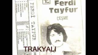 Ferdi Tayfur Çeşme Resimi