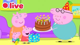 Daddy Pig Marathon Training LIVE 🏃 🔴 GO DADDY PIG! 🏁 Kids Cartoons 🔴