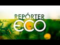 Repórter Eco | 20/03/2022