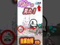 【パトカーは見た？】警察の目の前で堂々と信号無視する自転車！しかし次の瞬間、まさかの展開に…！？