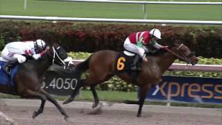Gulfstream Park Replay Show | December 22, 2016