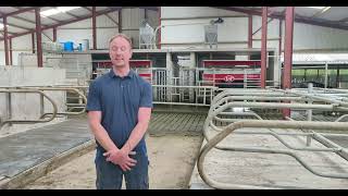 Replacing a 12-unit parlour with two Lely robots in Co Tipperary