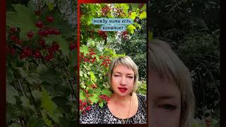 Познание мира через собственное тело.