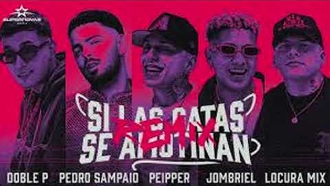 SI LA GATA SE AMOTINAN REMIX [1 Hora] | Peipper X Doblep X Jombriel X Pedro Sampaio X LocuraMix