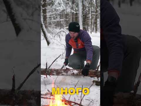 Видео: Одиночный зимний поход. ОДИН с ПАЛАТКОЙ в ЗИМНЕМ ЛЕСУ.