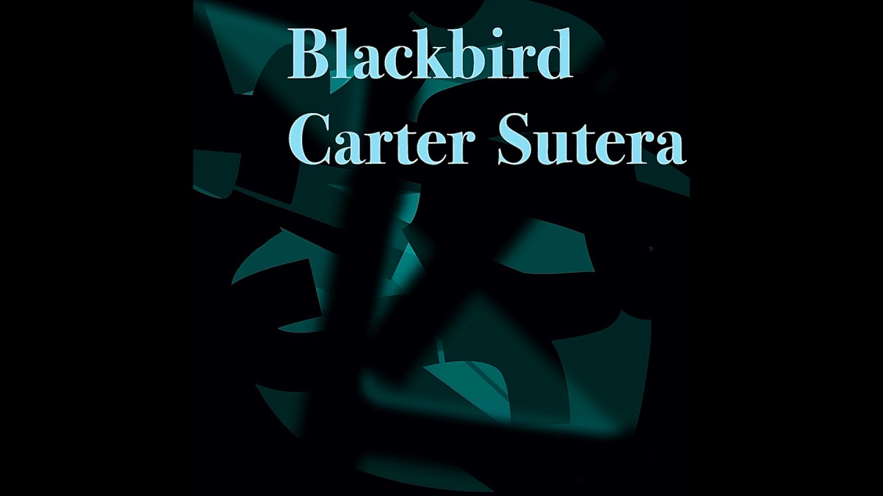 Blackbird Cover YouTube