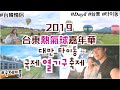 [台韓情侶 국제커플 대만여행 #8] 2019 台東鹿野國際熱氣球嘉年華 타이동 루예 국제 열기구 축제 맛집/브이로그/旅行VLOG/韓國人在台灣