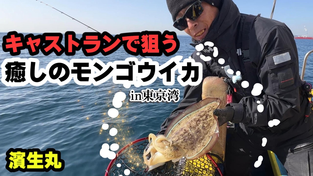 【濱生丸】　キャストランで狙う癒しのモンゴウイカ　in東京湾