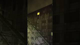 Furry Convention Illumination Extravaganza