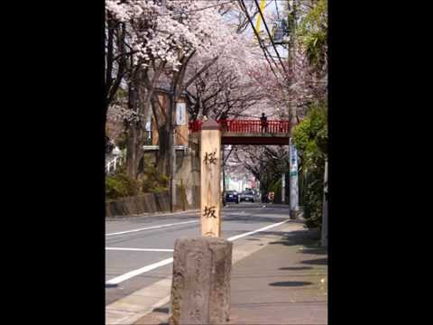 福山雅治　桜坂（カラオケ）歌ってみた