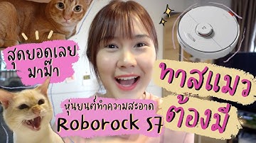 ทาสแมวต้องมี! หุ่นยนต์ดูดฝุ่นอัจฉริยะ Roborock S7 ฉลาดมาก  | This is Pear