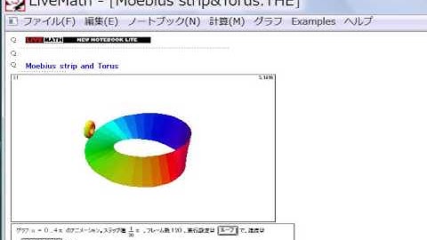 Moebius band & Torus