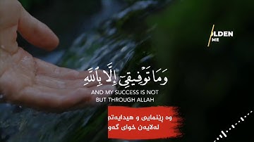 وما توفيقى الا بالله عليه توكلت واليه أُنيب..سورة هود ..(وديع اليمني)