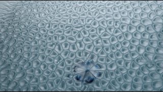 6.1 Motions due to surface tension gradients - Marangoni flows