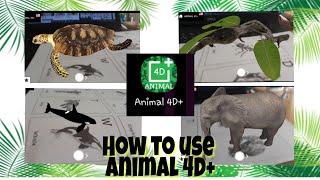 How to use ANIMAL 4D+ for kids(What a MAGIC!!😱😱) | Easy TUTORIAL!!! screenshot 4
