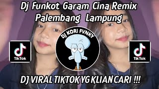 Download Lagu DJ FUNKOT GARAM CINA REMIX PALEMBANG LAMPUNG | BUDAK CIAMIS KULIAH DI PALEMBANG VIRAL TIKTOK 2025 MP3