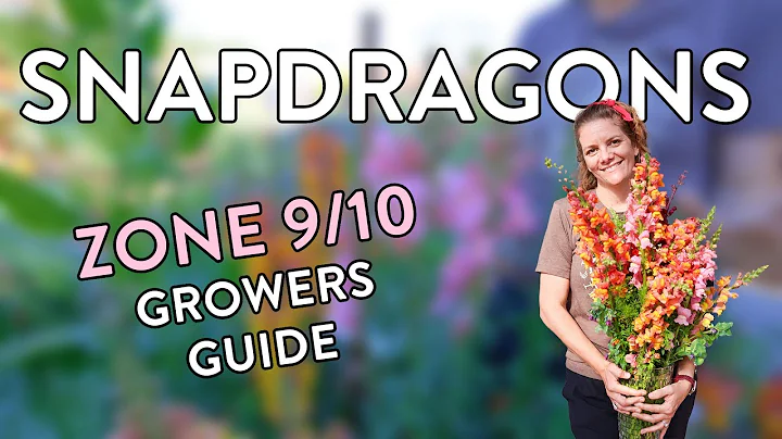 How to Grow Stunning Snapdragons in Zones 9 & 10: Tips & Tricks