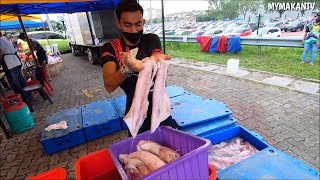 Sotong Besar Sumbat Telur - Ikan Bakar Hj Ali'Mah @ Bazar Ramadan Stadium Shah Alam
