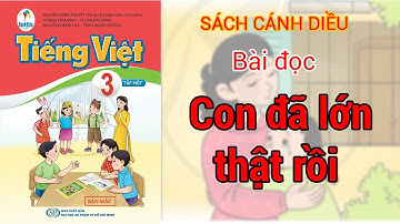 Con đã lớn thật rồi | Tiếng Việt Lớp 3 | Sách Cánh Diều