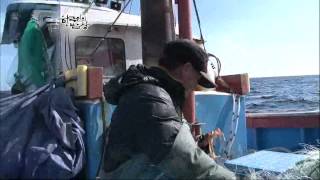 한국인의 밥상 - Korean Cuisine and Dining 20110224 #002